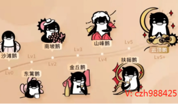 醉鹅娘私域运营案例拆解